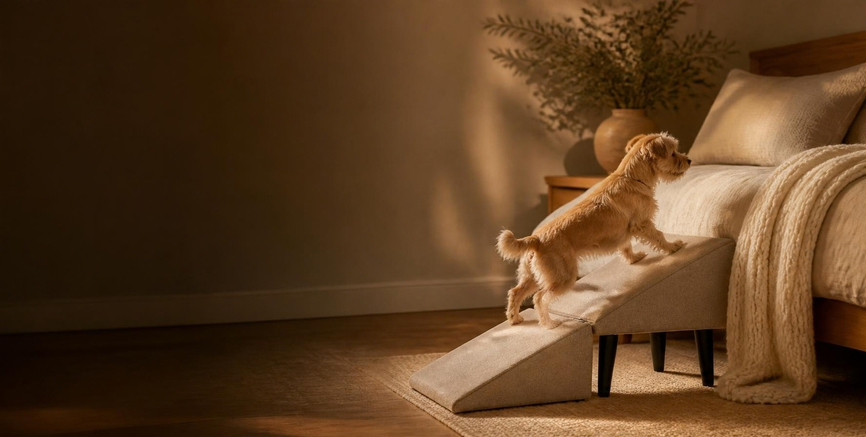 Small dog trotting up the WagStep ramp towards a cosy bed in warm evening light